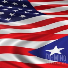 T134 American & PR Flag Combo